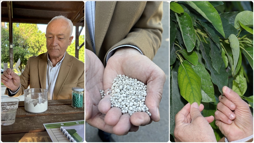 Gübreye alternatif ürün Antalya'da geliştirildi! Bitki gelişimini üst seviyeye çıkarıyor